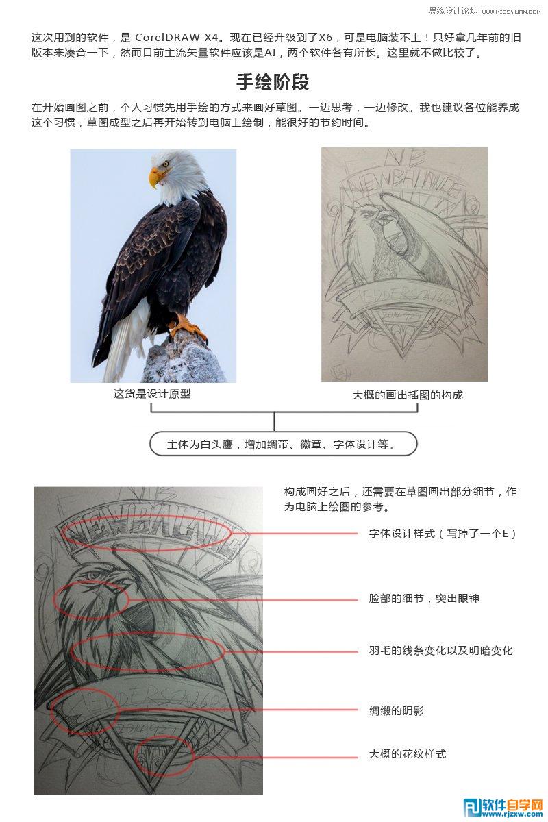 01.怎么绘制鹰的标志讲解