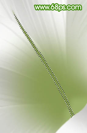 Photoshop制作一朵白色的百合花