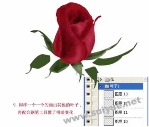 PS鼠绘制作一朵玫瑰花教程