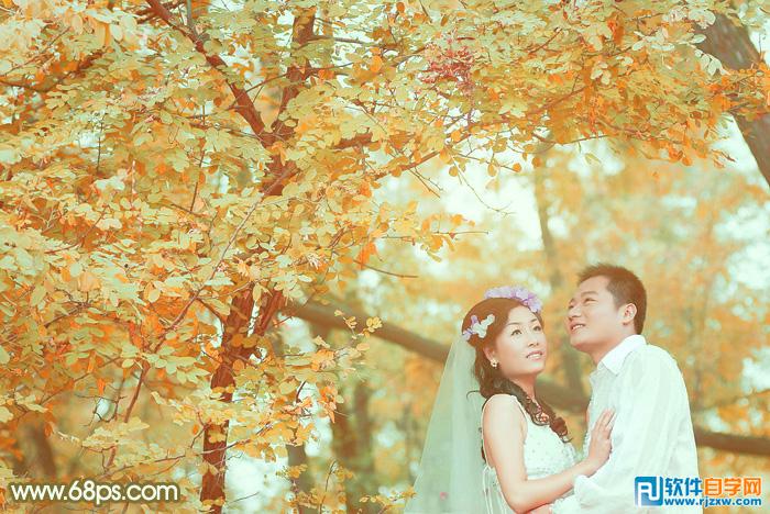 Photoshop调出柔美的橙绿色树林婚片教程
