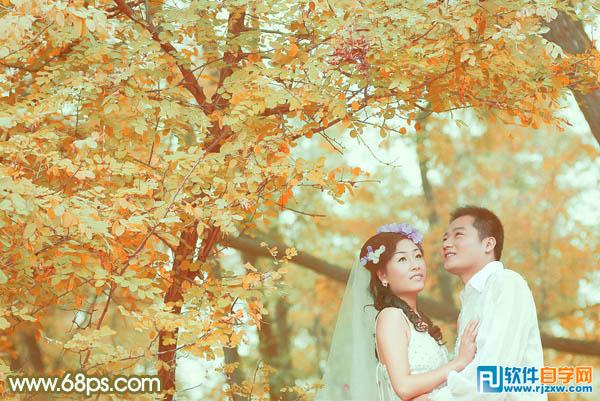 Photoshop调出柔美的橙绿色树林婚片教程
