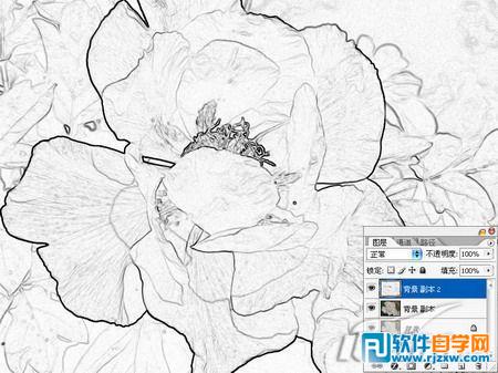 PS高斯模糊将鲜花图片转成工笔画