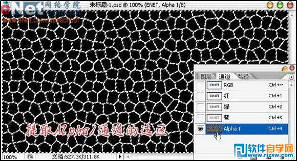 PS制作晶莹龟壳文字教程