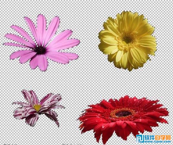 Photoshop制作可爱的鲜花拼贴字