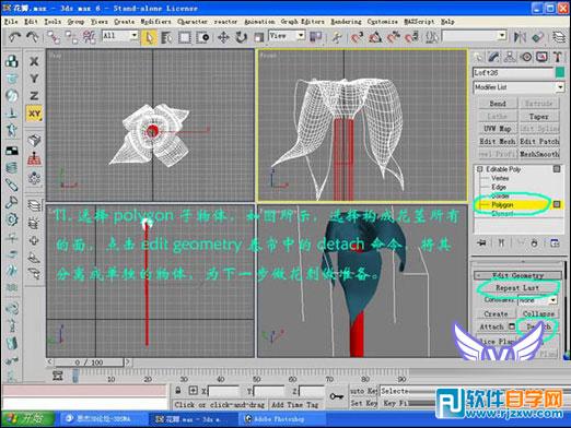 3dmax玫瑰花模型 制作讲解-2