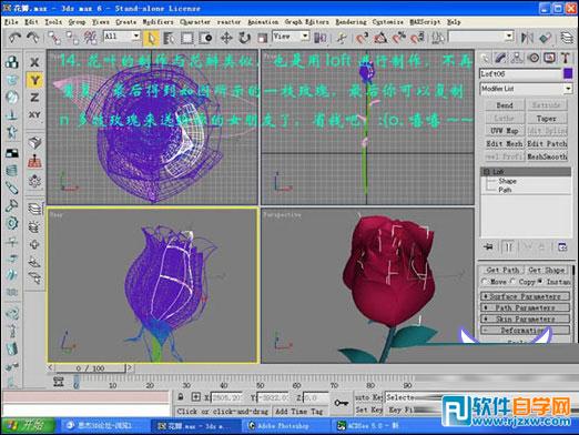 3dmax玫瑰花模型 制作讲解-6