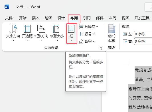 word2021如何把段落分成两栏第2步