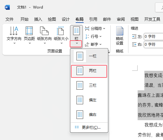 word2021如何把段落分成两栏第3步