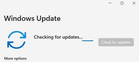Windows11如何手动更新？第4步