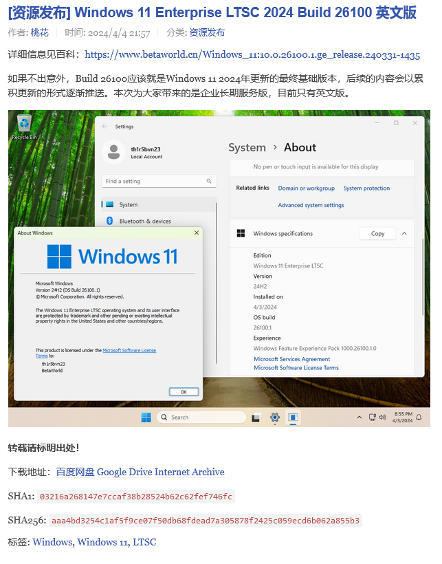 微软 Win11 24H2 LTSC 镜像偷跑，版本号 Build 26100