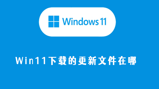 win11下载的更新文件在哪
