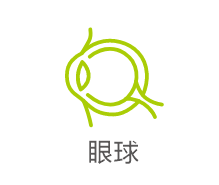 CDR2024绘制一个眼球图案的详细方法